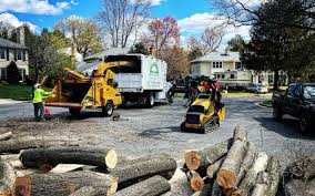Best Hazardous Tree Removal  in Medical Lake, WA