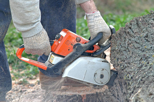 Best Utility Line Clearance  in Medical Lake, WA